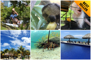 The All in one Roatan Adventure