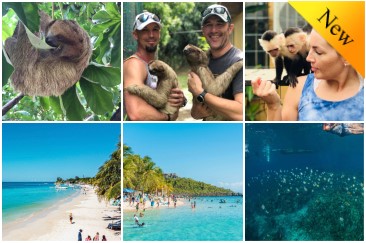 Roatan Getaway Tours - Roatan Shore Excursions - Monkey & Sloth Park,  Snorkel Excursions, Island tours, Beach breaks